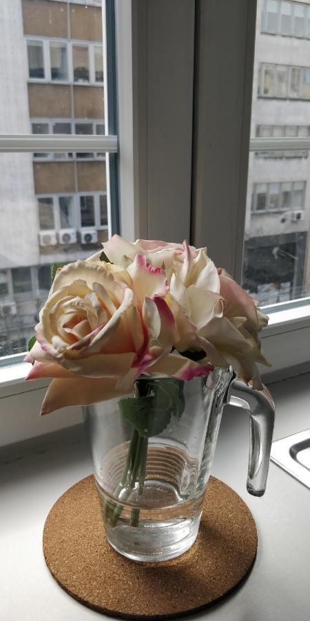 Apartment Treci เบลเกรด ภายนอก รูปภาพ